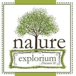Main Page